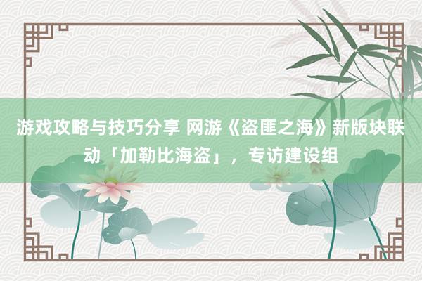 游戏攻略与技巧分享 网游《盗匪之海》新版块联动「加勒比海盗」，专访建设组