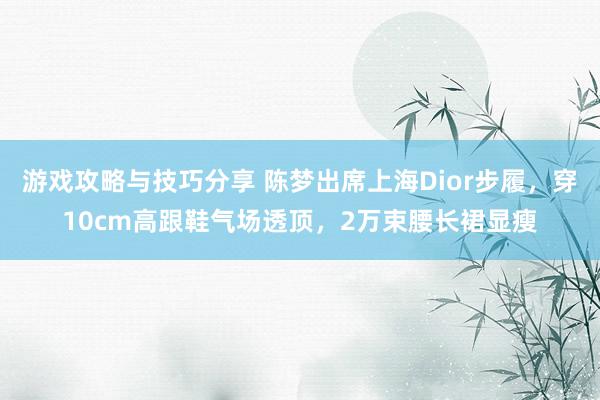 游戏攻略与技巧分享 陈梦出席上海Dior步履，穿10cm高跟鞋气场透顶，2万束腰长裙显瘦