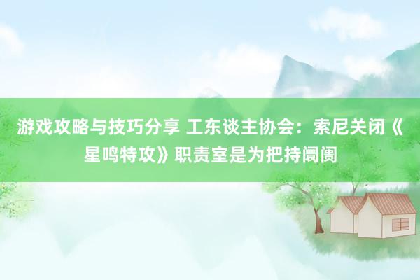 游戏攻略与技巧分享 工东谈主协会：索尼关闭《星鸣特攻》职责室是为把持阛阓