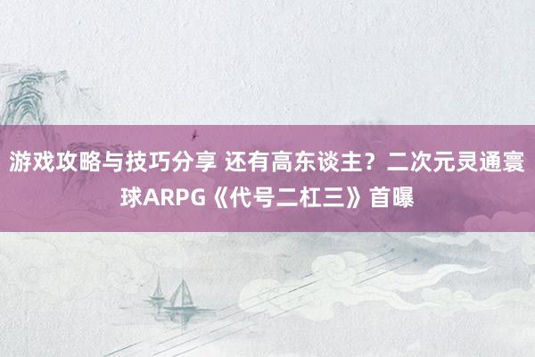 游戏攻略与技巧分享 还有高东谈主？二次元灵通寰球ARPG《代号二杠三》首曝