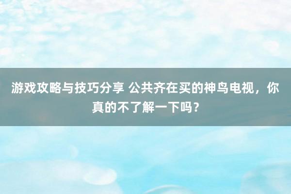 游戏攻略与技巧分享 公共齐在买的神鸟电视，你真的不了解一下吗？