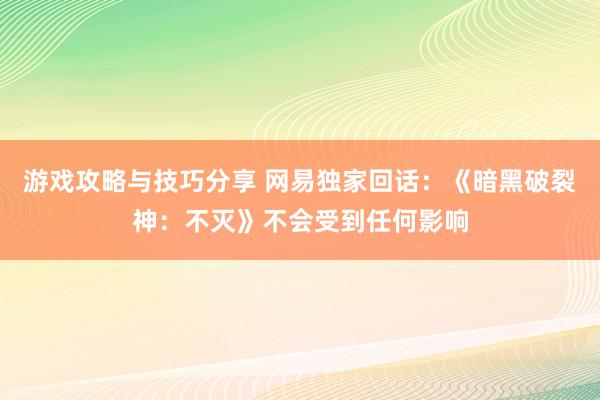 游戏攻略与技巧分享 网易独家回话：《暗黑破裂神：不灭》不会受到任何影响