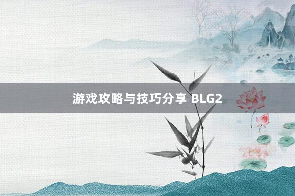 游戏攻略与技巧分享 BLG2