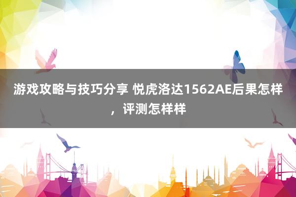 游戏攻略与技巧分享 悦虎洛达1562AE后果怎样，评测怎样样