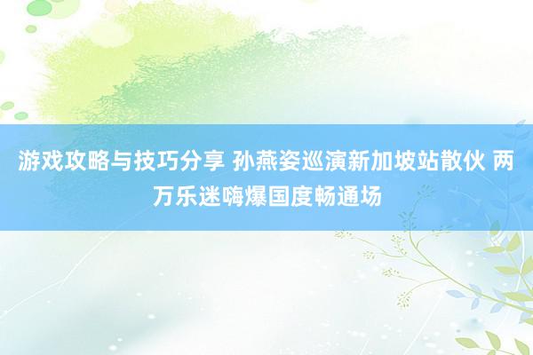 游戏攻略与技巧分享 孙燕姿巡演新加坡站散伙 两万乐迷嗨爆国度畅通场