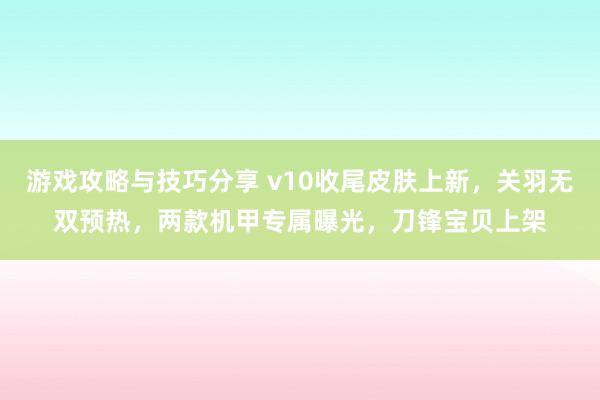 游戏攻略与技巧分享 v10收尾皮肤上新，关羽无双预热，两款机甲专属曝光，刀锋宝贝上架