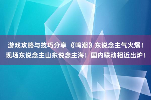 游戏攻略与技巧分享 《鸣潮》东说念主气火爆！现场东说念主山东说念主海！国内联动相近出炉！