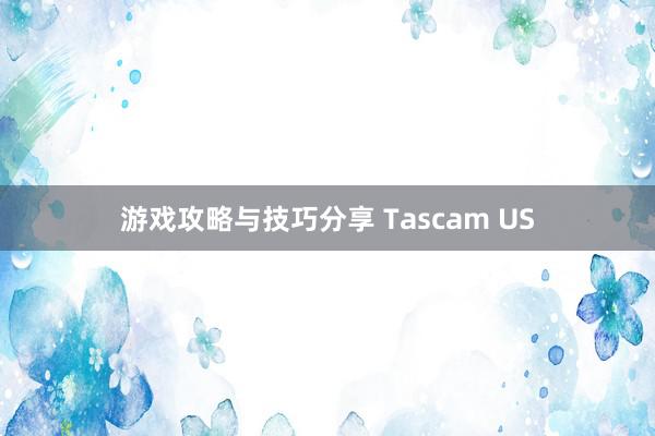 游戏攻略与技巧分享 Tascam US