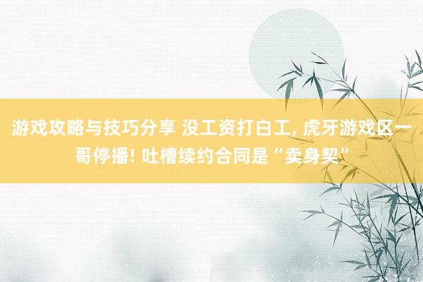 游戏攻略与技巧分享 没工资打白工, 虎牙游戏区一哥停播! 吐槽续约合同是“卖身契”