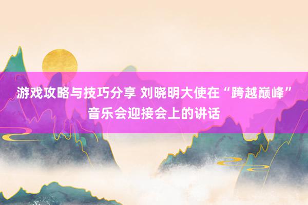 游戏攻略与技巧分享 刘晓明大使在“跨越巅峰”音乐会迎接会上的讲话