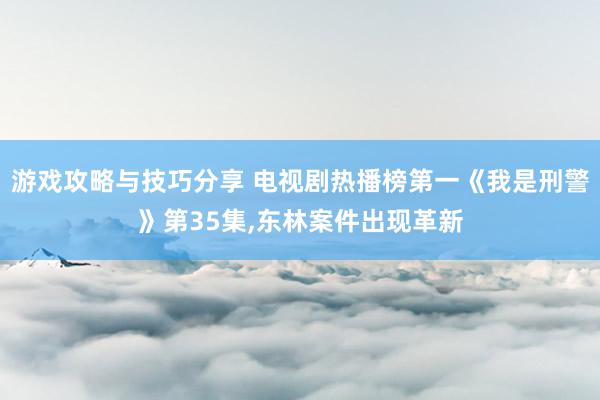 游戏攻略与技巧分享 电视剧热播榜第一《我是刑警》第35集,东林案件出现革新