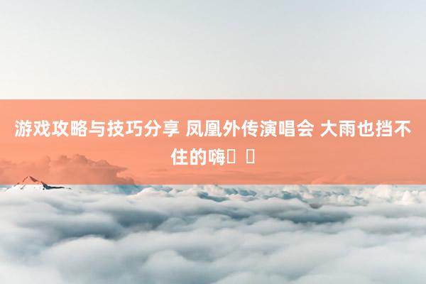 游戏攻略与技巧分享 凤凰外传演唱会 大雨也挡不住的嗨✌️