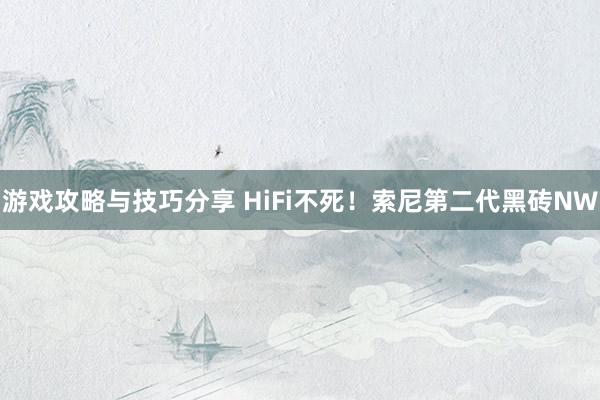 游戏攻略与技巧分享 HiFi不死！索尼第二代黑砖NW