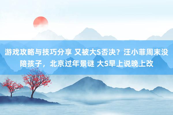 游戏攻略与技巧分享 又被大S否决？汪小菲周末没陪孩子，北京过年景谜 大S早上说晚上改