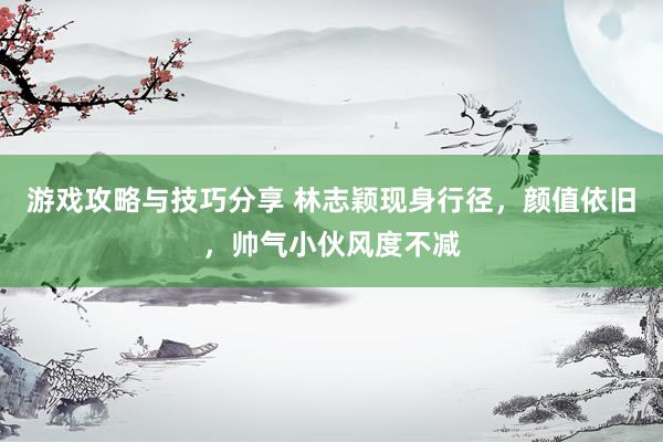 游戏攻略与技巧分享 林志颖现身行径，颜值依旧，帅气小伙风度不减