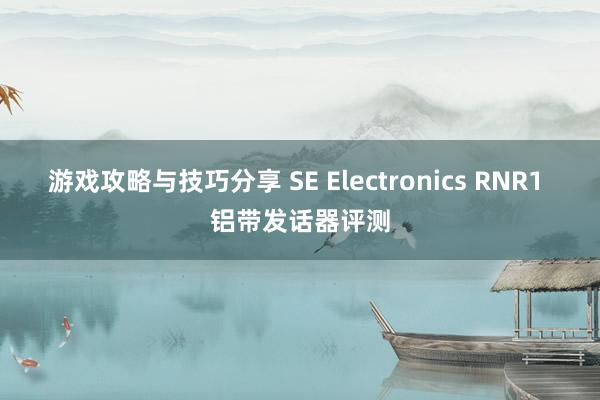 游戏攻略与技巧分享 SE Electronics RNR1 铝带发话器评测