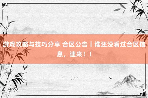 游戏攻略与技巧分享 合区公告丨谁还没看过合区信息，速来！！