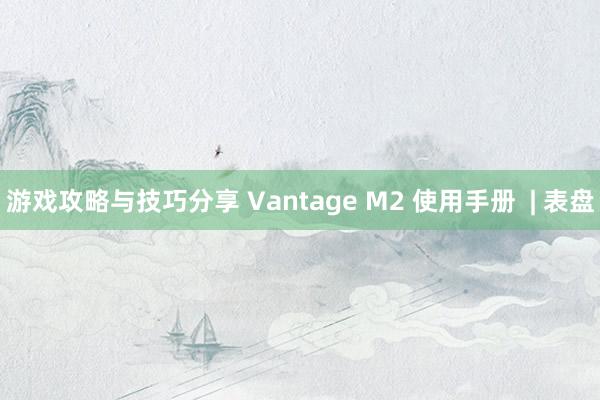 游戏攻略与技巧分享 Vantage M2 使用手册  | 表盘