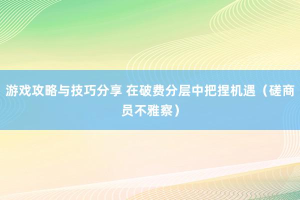 游戏攻略与技巧分享 在破费分层中把捏机遇（磋商员不雅察）