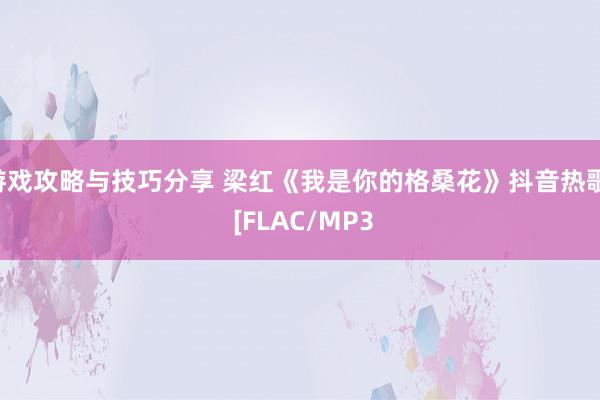 游戏攻略与技巧分享 梁红《我是你的格桑花》抖音热歌  [FLAC/MP3