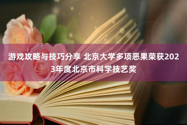 游戏攻略与技巧分享 北京大学多项恶果荣获2023年度北京市科学技艺奖